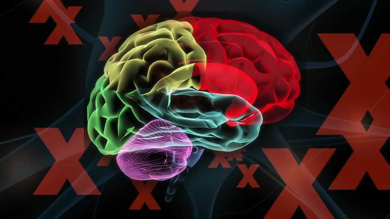 TEDxCaltech: The Brain - Teaser - 1/18/13