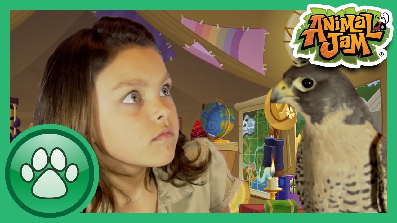 Wild Explorers - Meet a Falcon!