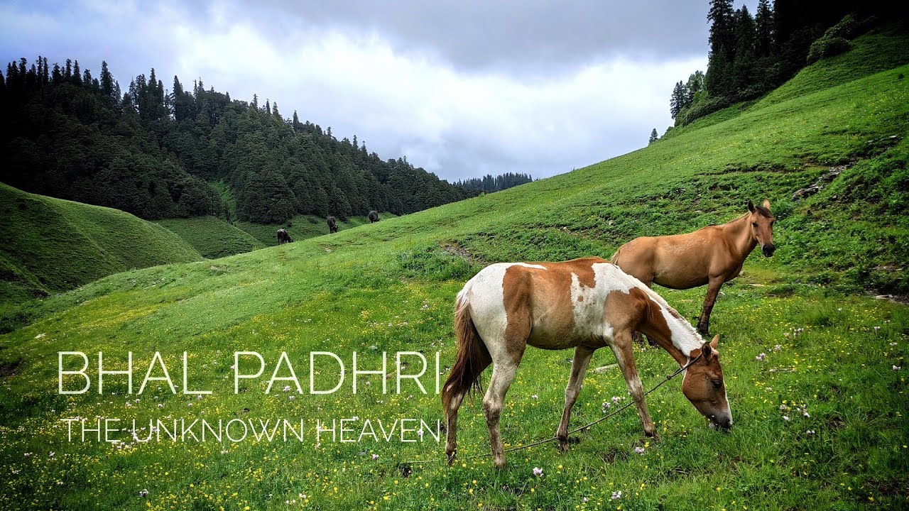 Bhal Padhri - The Hidden Paradise | Bhaderwah | 4K | BackpackGo
