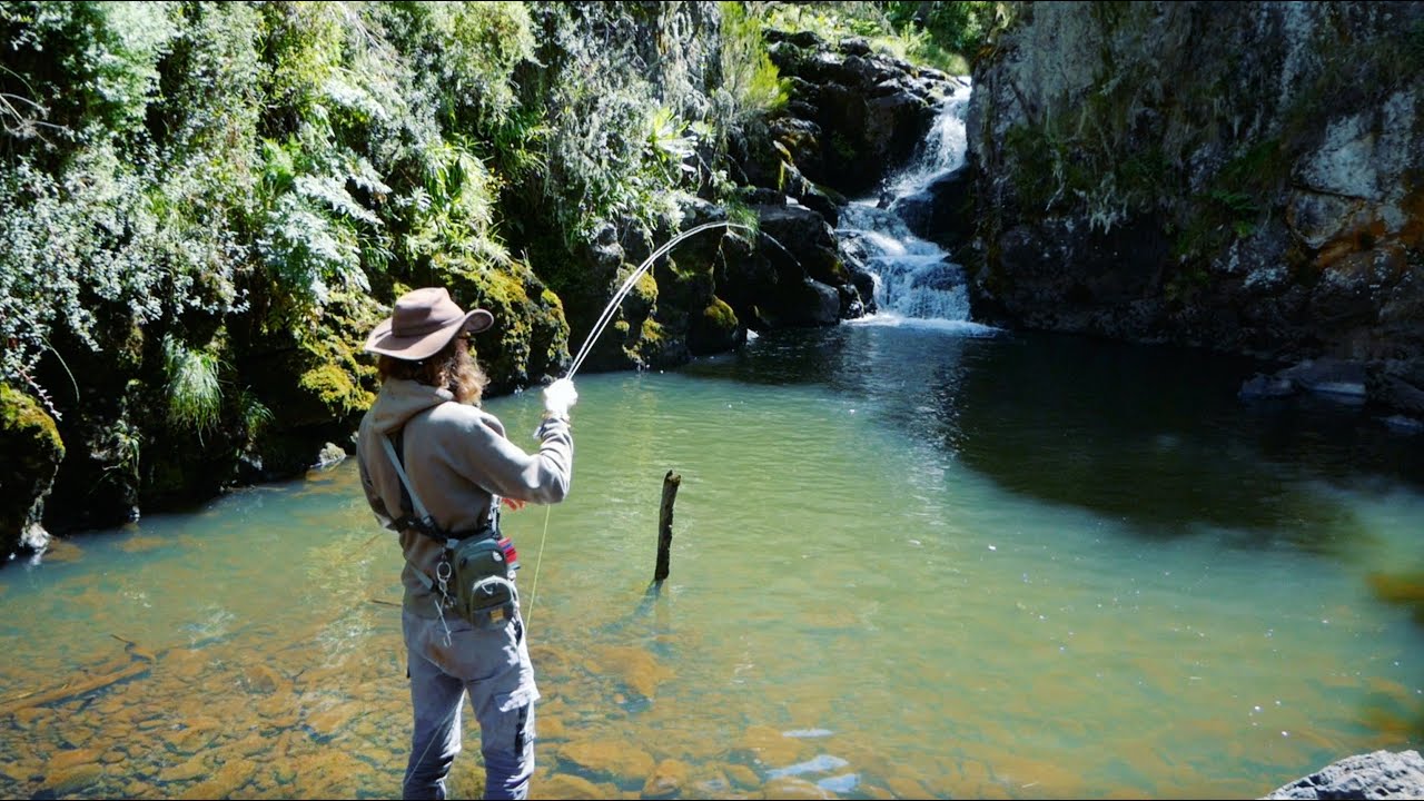 We Fly Fished A Secret Waterfall in Kenya ( It Was Full of Trout )