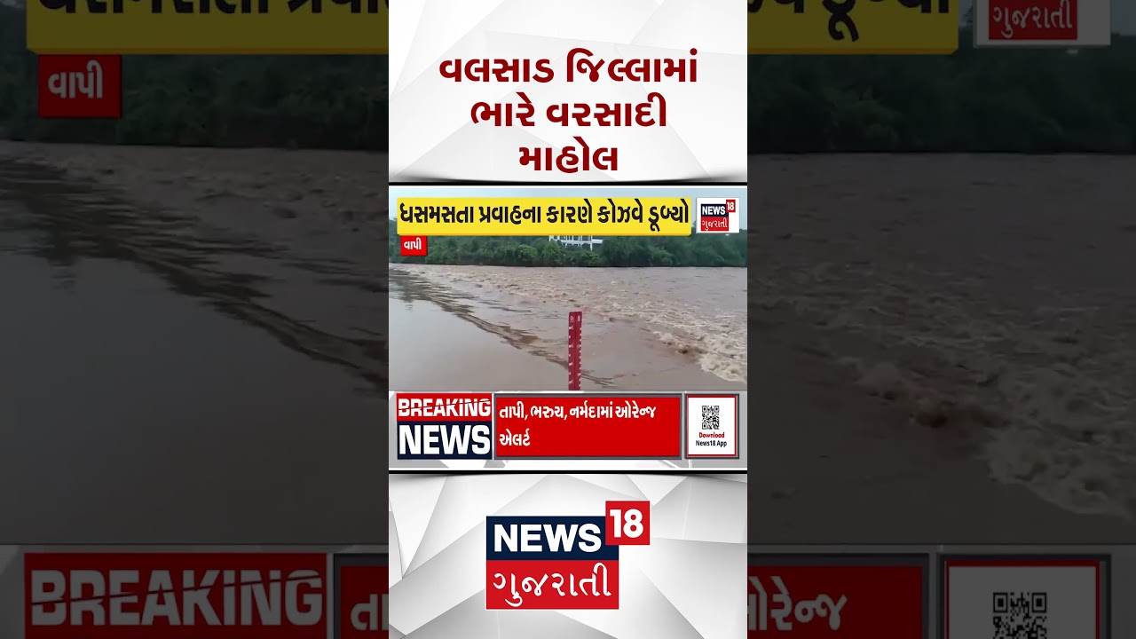 Valsad News | વલસાડ જિલ્લામાં ભારે વરસાદી માહોલ |  Gujarati Samachar | News18 #shorts
