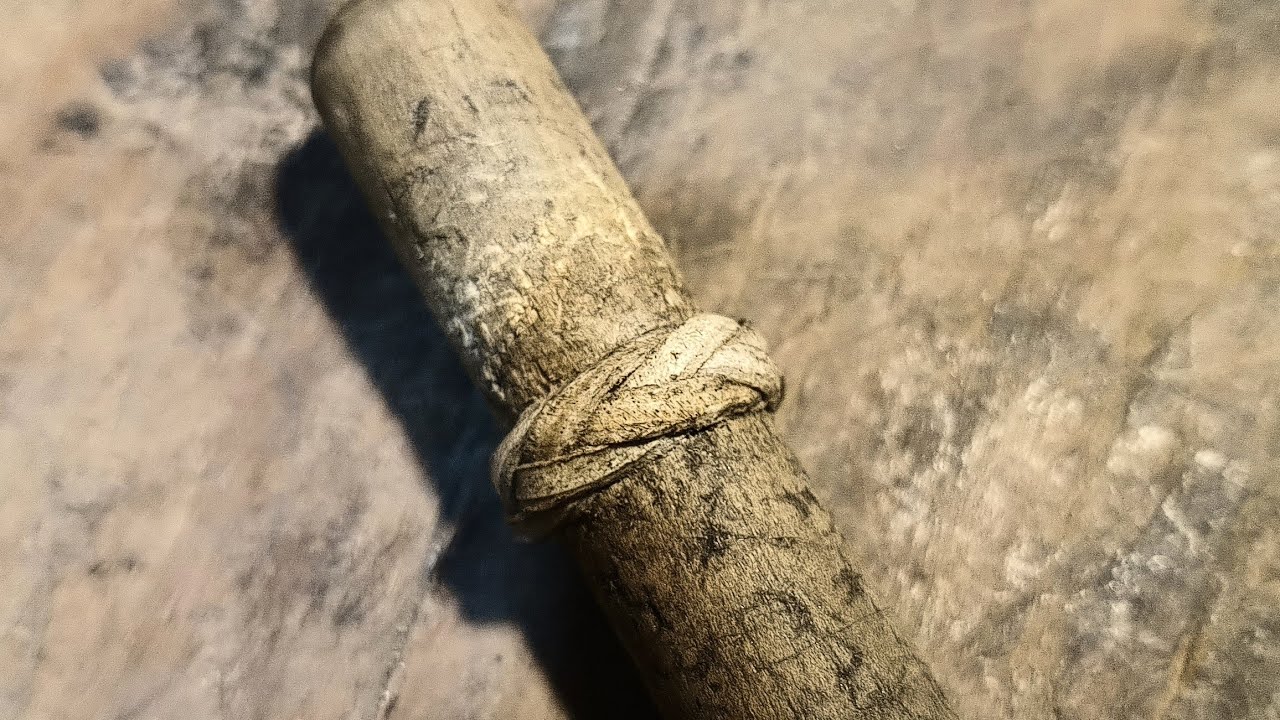 Sortija simple con armadura zurda, especial para principiantes 7