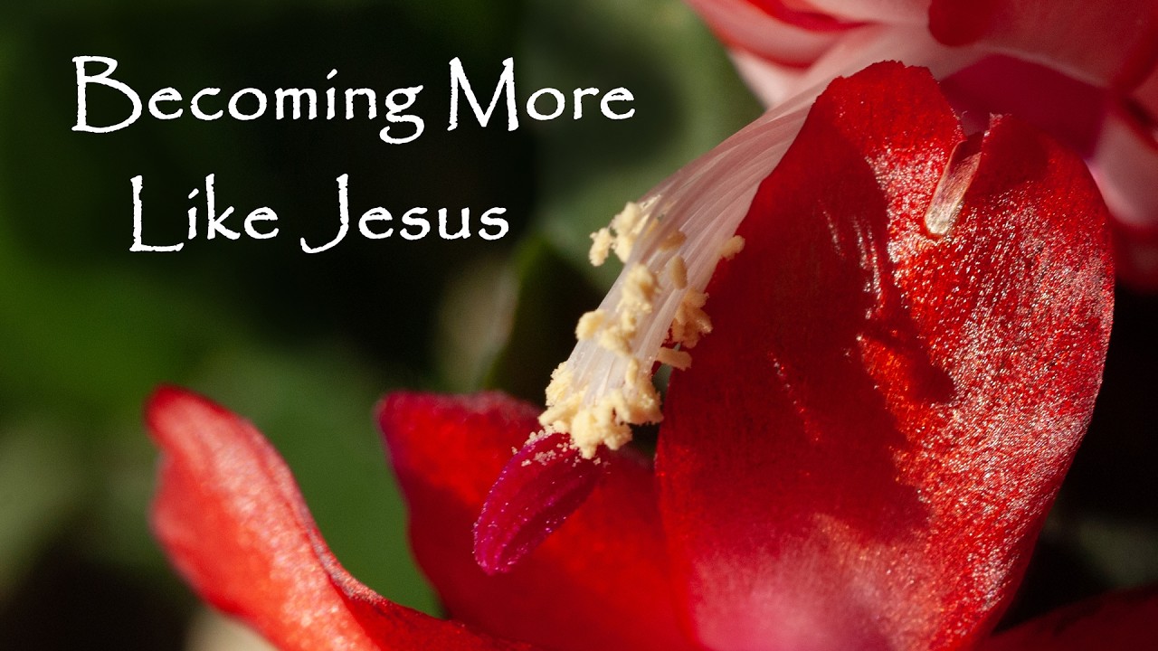 Becoming More Like Jesus