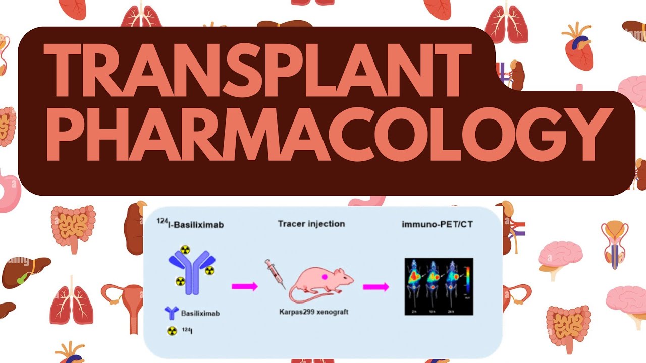 Transplant Pharmacology: Immunosuppressants Explained!