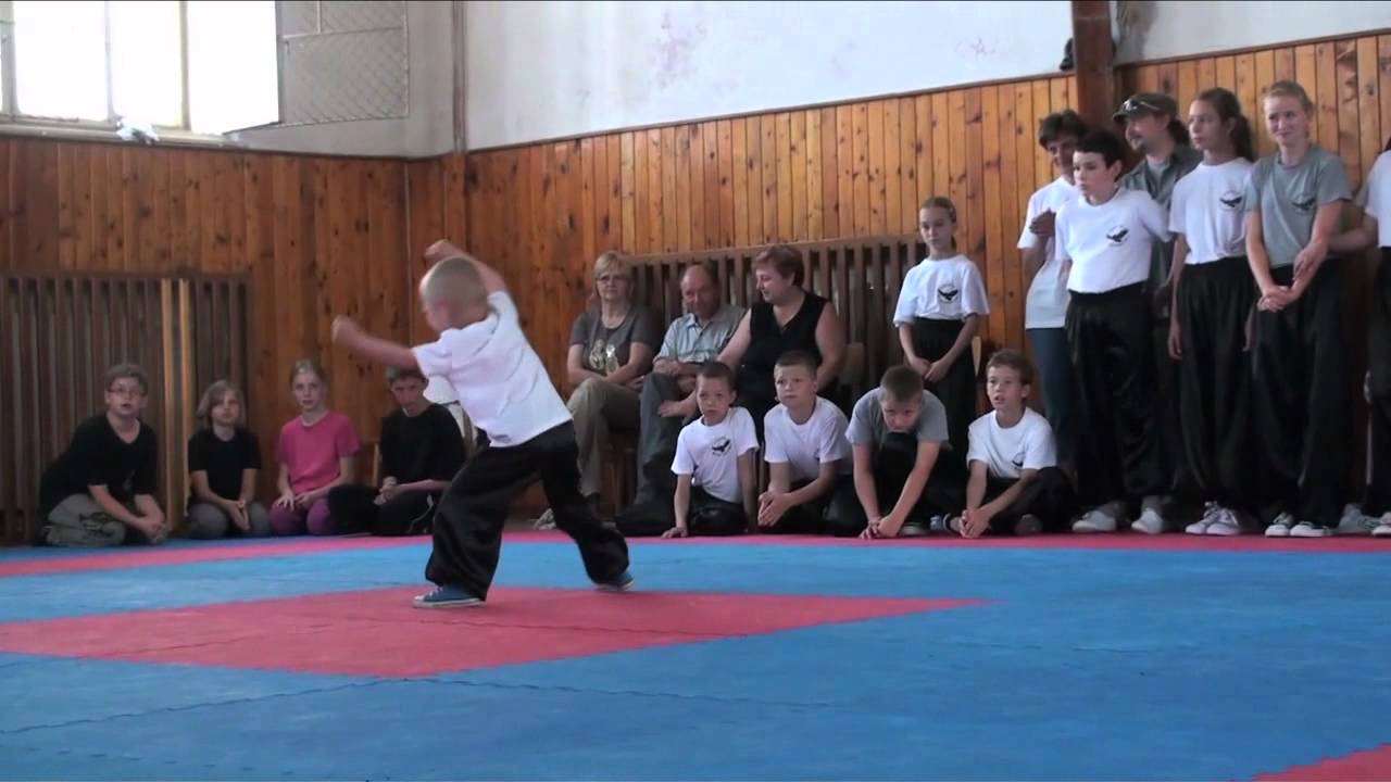 Kungfu deti 2011.avi
