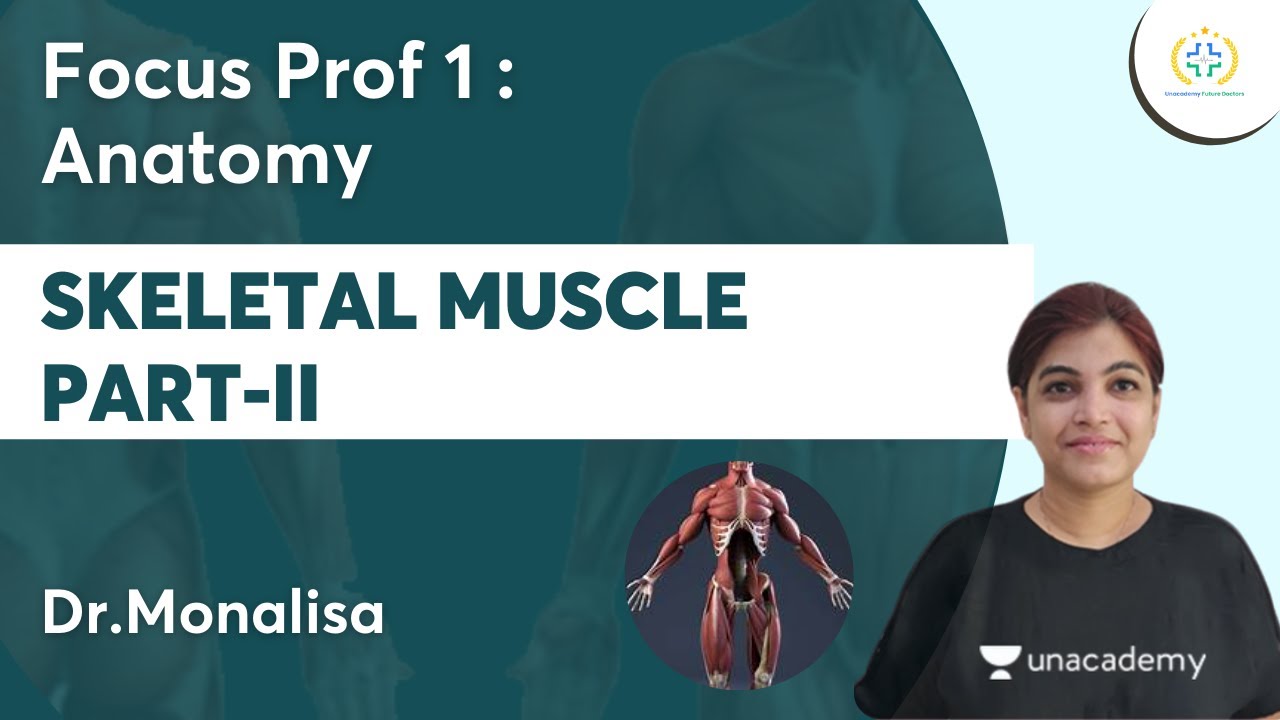 Скелетные мышцы, часть II | Focus Prof 1: Анатомия | Unacademy Future Doctors l Dr.Monalisa