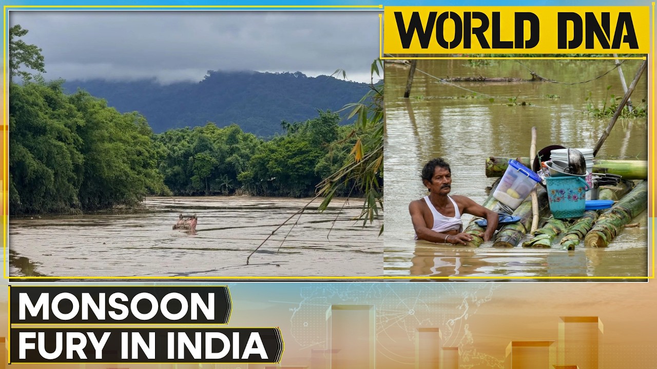 Assam Floods: Death Toll Rises To 80, More Than 550 Villages Submerged | World DNA | WION