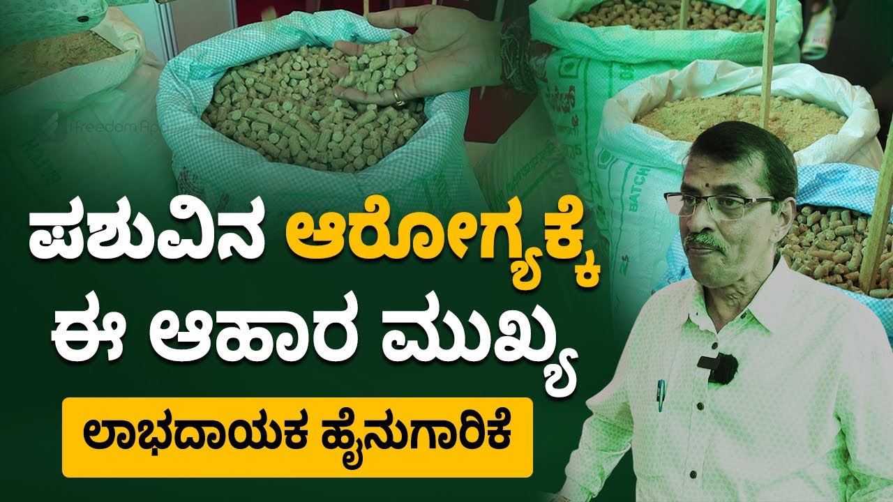 Organic Cattle Feed for Cow | Best Cattle Feed Manufacturing | Best Feed for Cow | Part 2 | ಪಶು ಆಹಾರ