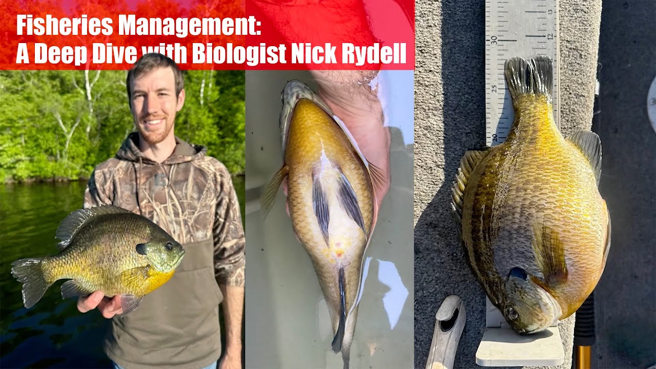 Fisheries Management: A Deep Dive with Biologist Nick Rydell