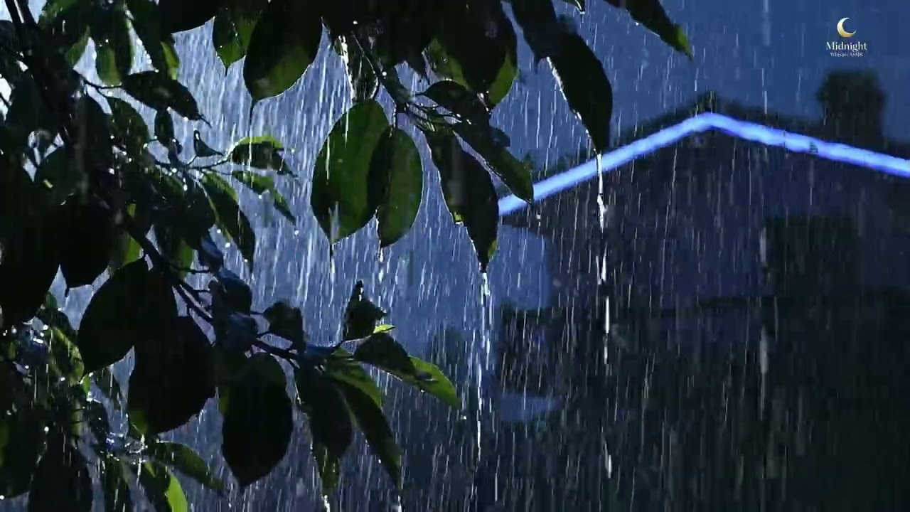 Sleep in Minutes with Soothing Night Rain 🌧 2 Hours Dark Rain Ambience