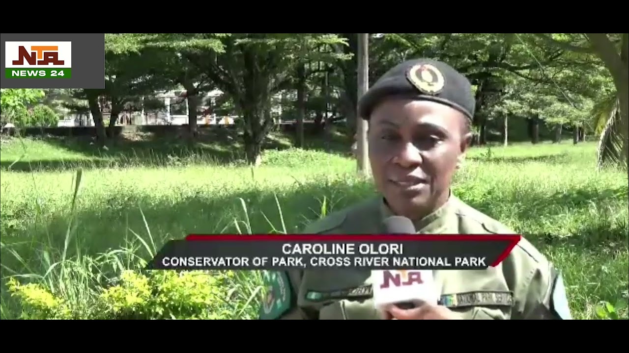SPECIAL ON CROSS RIVER NATIONAL PARK | NEWS24