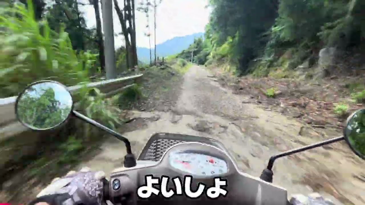 フラット林道でした。問題ない。　2025.07