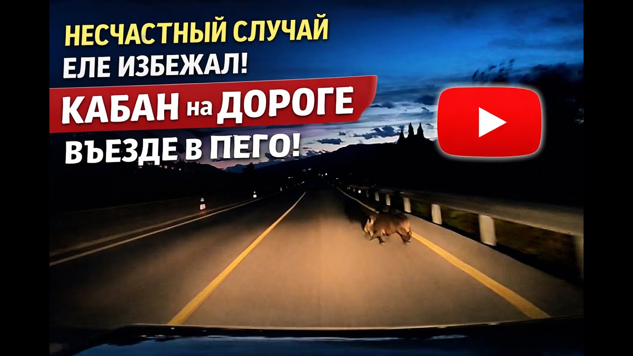 Дикий кабан выскочил на дорогу | Ночной въезд в Пего | Dashcam