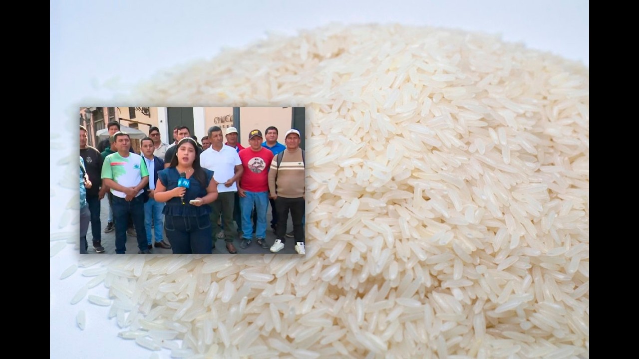 Productores de arroz piden que sector se declare en emergencia
