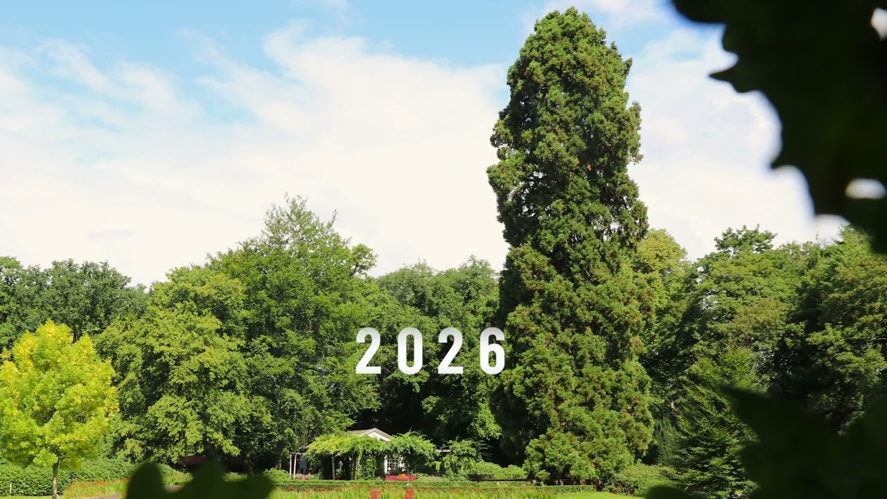 Ledeboerpark Giant Sequoia (Netherlands) – Tree of the Year 2026 Finalist