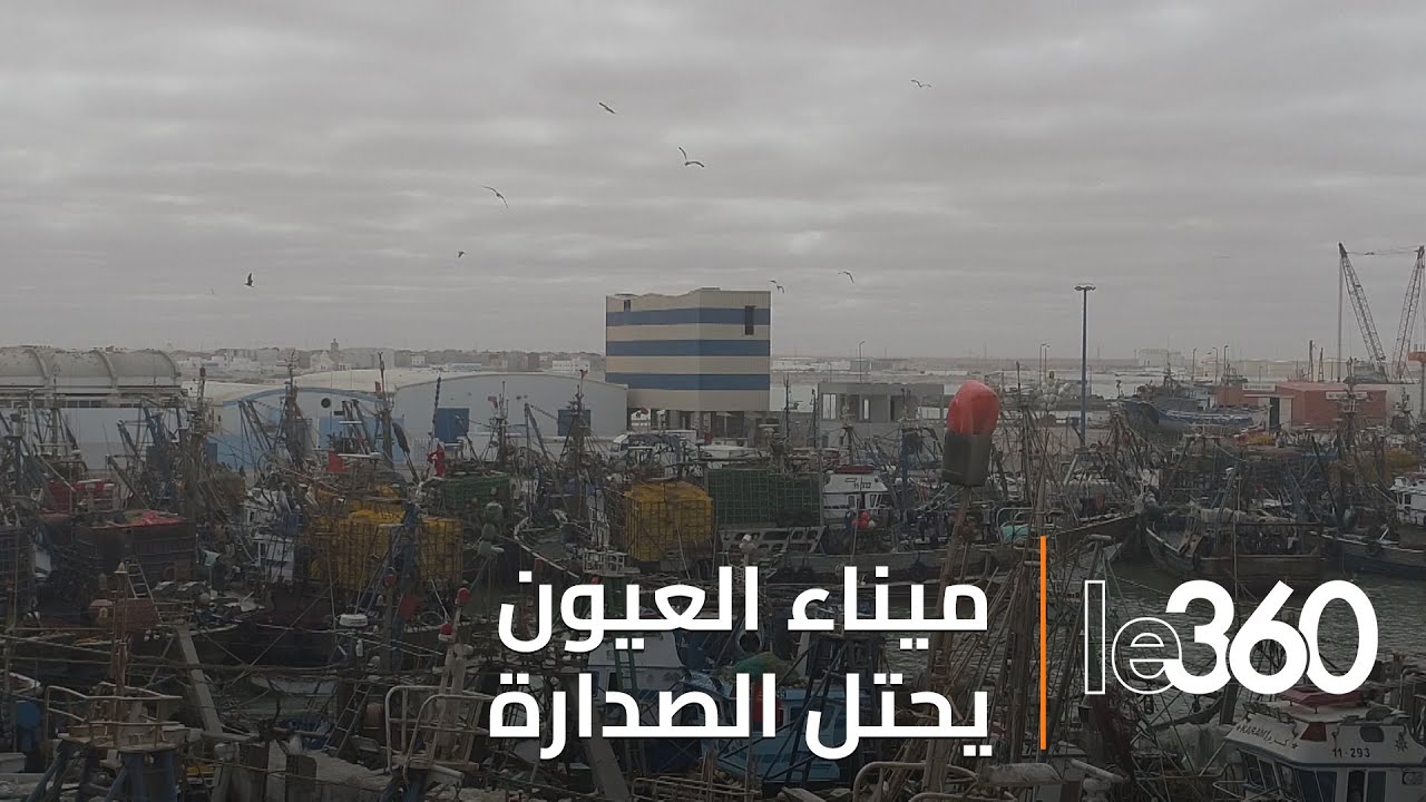 حقق رقم معاملات قاربت ملياري درهم.. ميناء العيون يتصدر موانئ المملكة سنة 2023