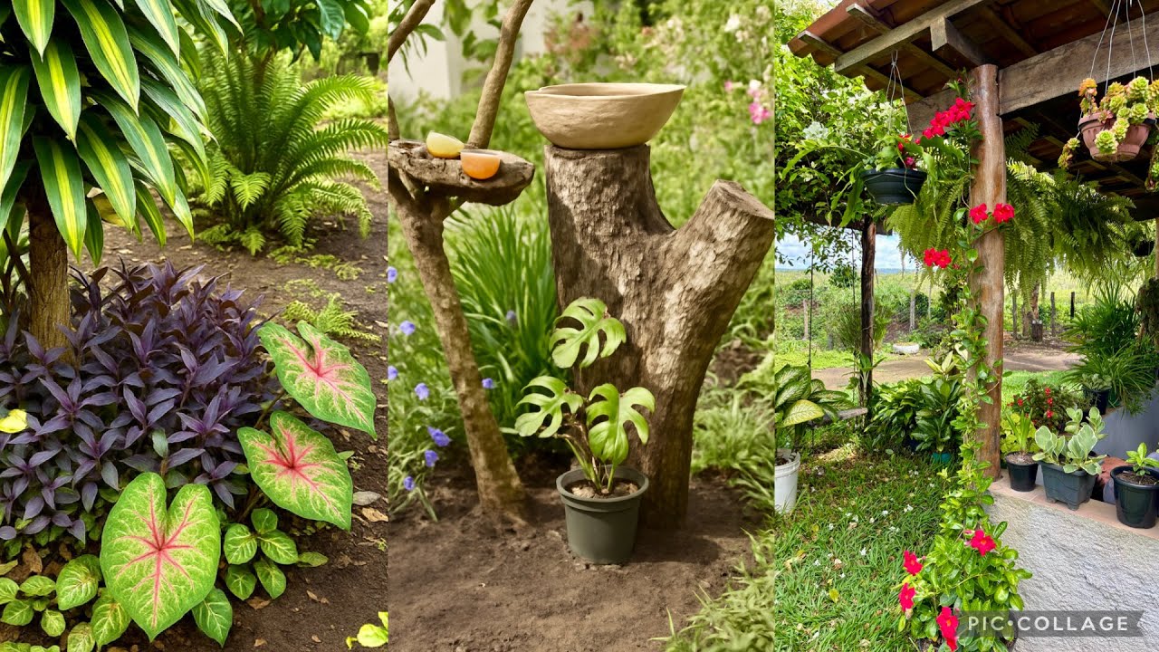 Transformei meu jardim em um refúgio de pássaros e um paraíso de flores 😍🦚🌸
