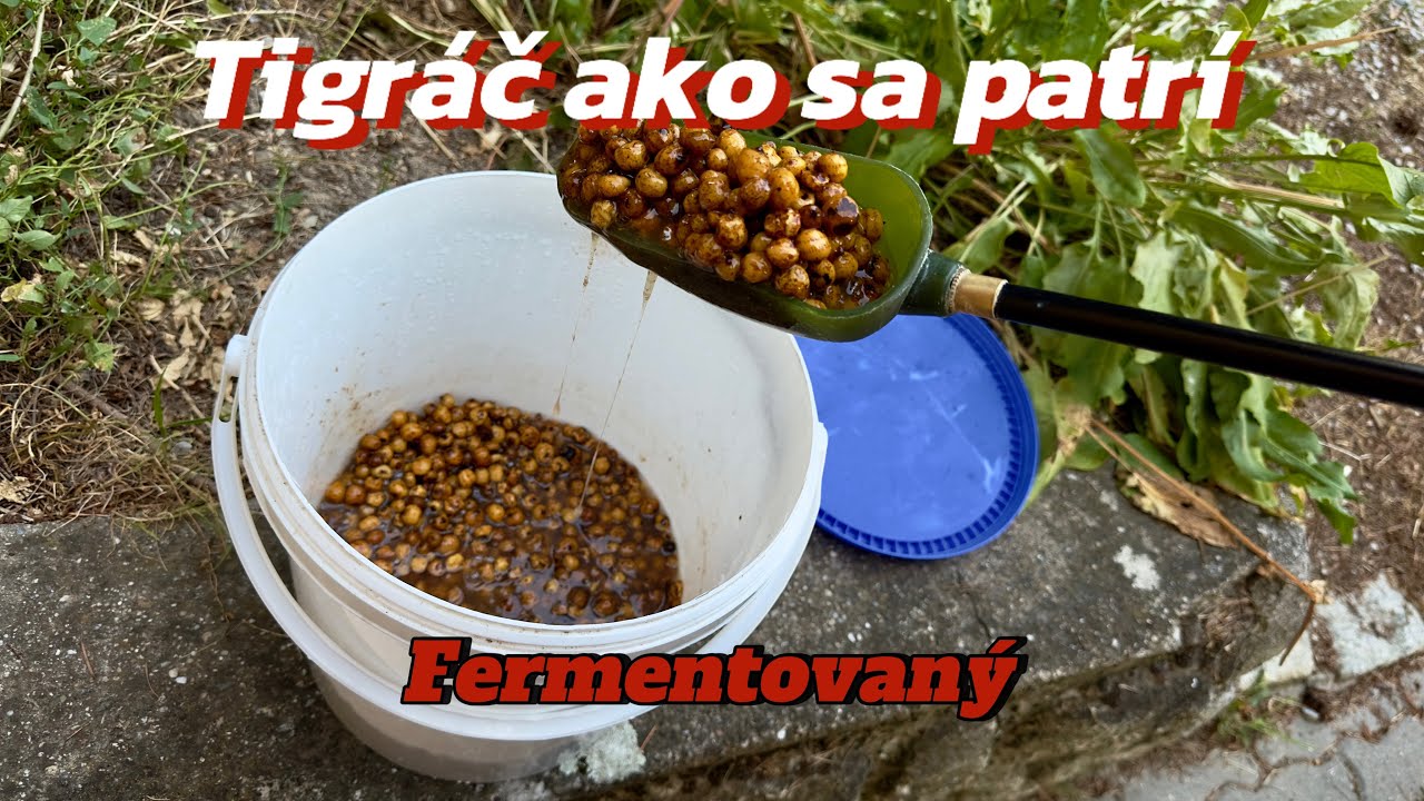 Ako na fermentovaný tigrý orech