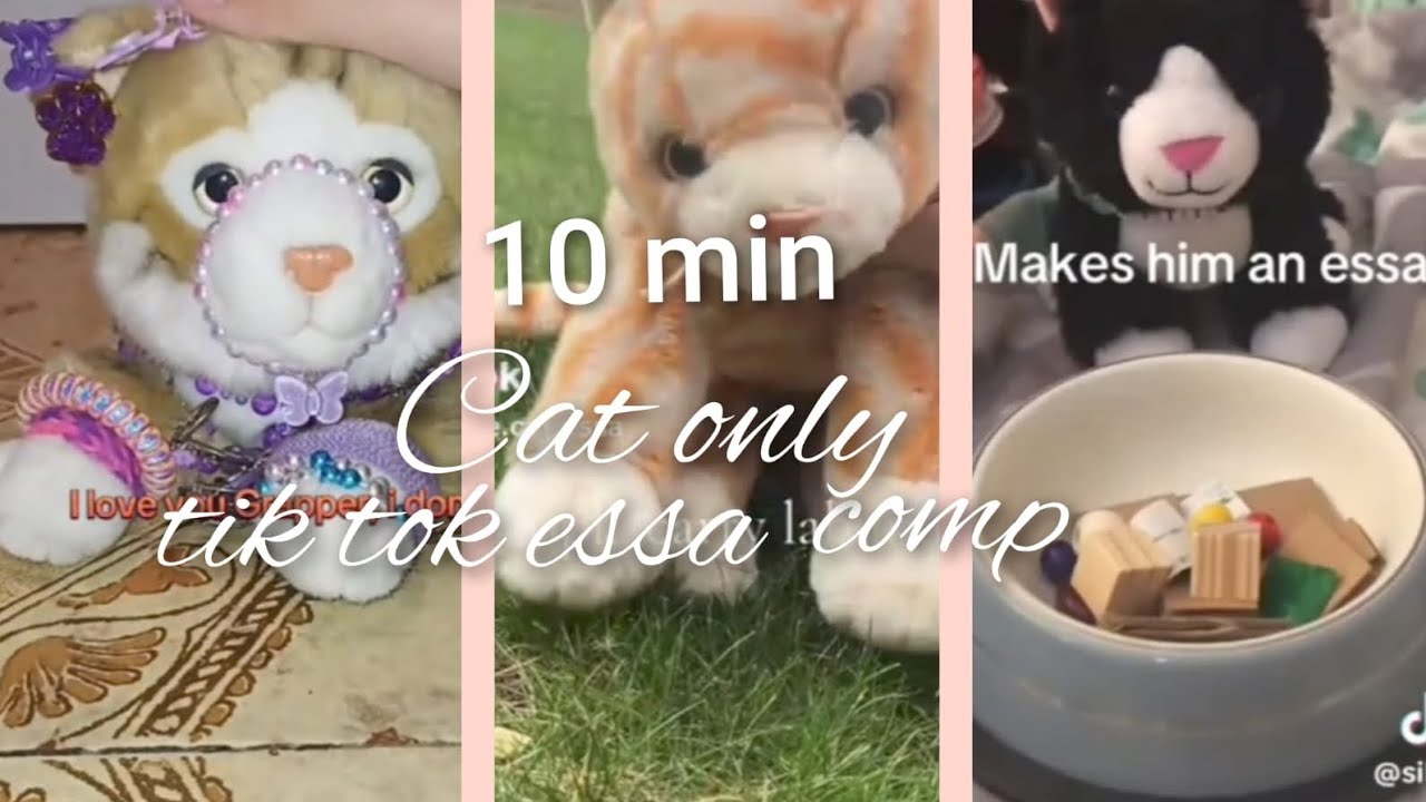 (Requested) cat only essa comp! 🐱🐾