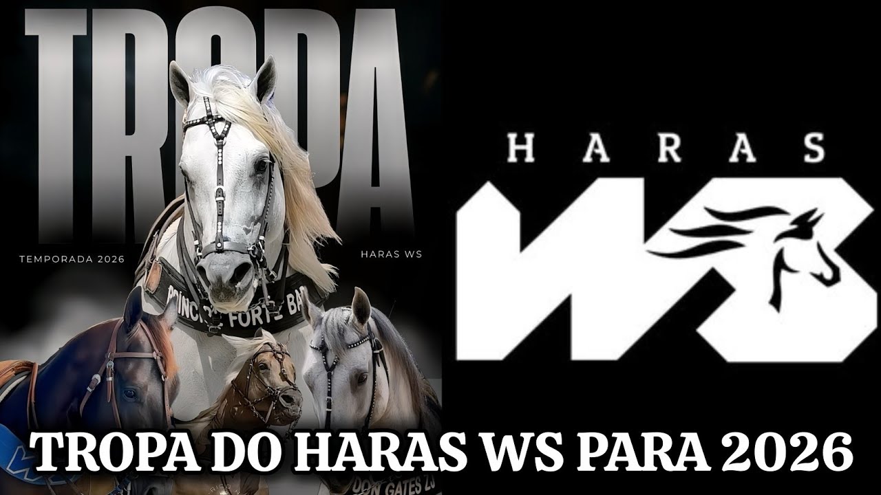 ESSA SERÁ A TROPA DO HARAS WS QUE ESTARÁ A DISPOSIÇÃO DO DHEOVANE ALMEIDA 