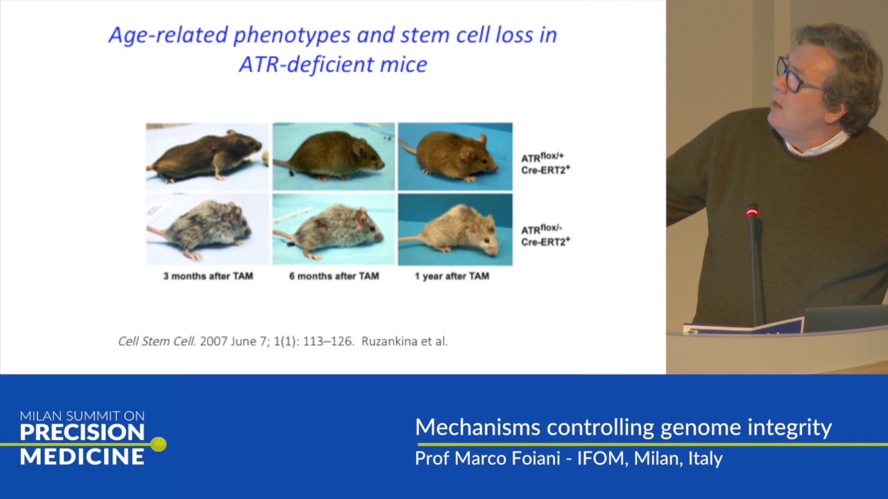 Mechanisms controlling genome integrity