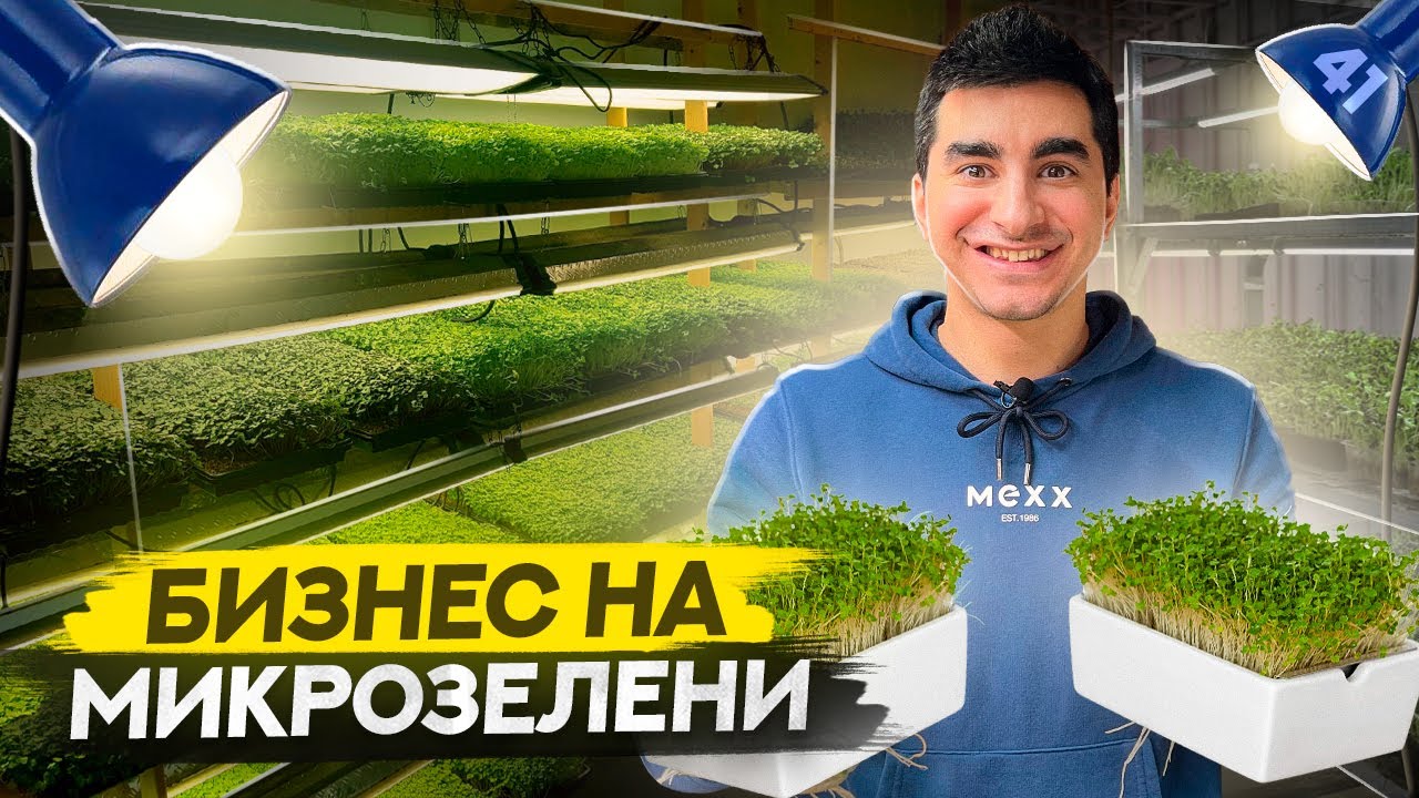 Бизнес с 5 тысяч рублей. Ситиферма у себя дома. Бизнес на микрозелени.