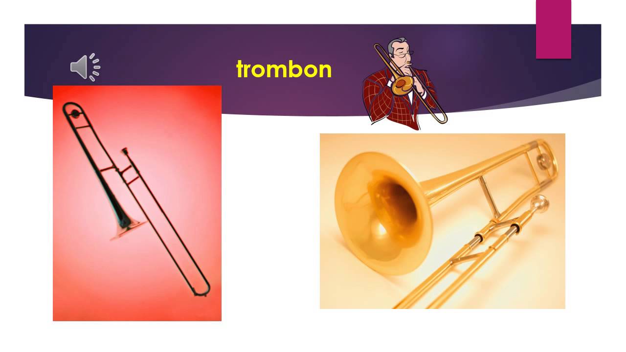 instrumente muzicale