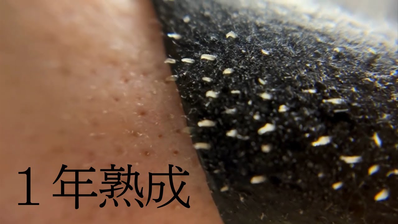 1年ぶりに毛穴パック！今日はマイクロスコープも使ってみる！