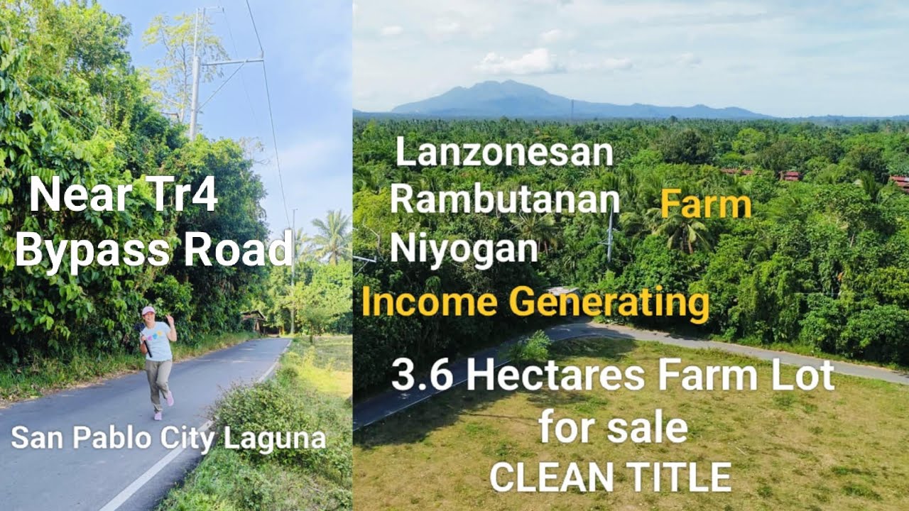 #Vlog416 CLEAN TITLE FARM LOT FOR SALE | Near Tr4 & Bypass Road | LANZONESAN RAMBUTANAN AT NIYOGAN 