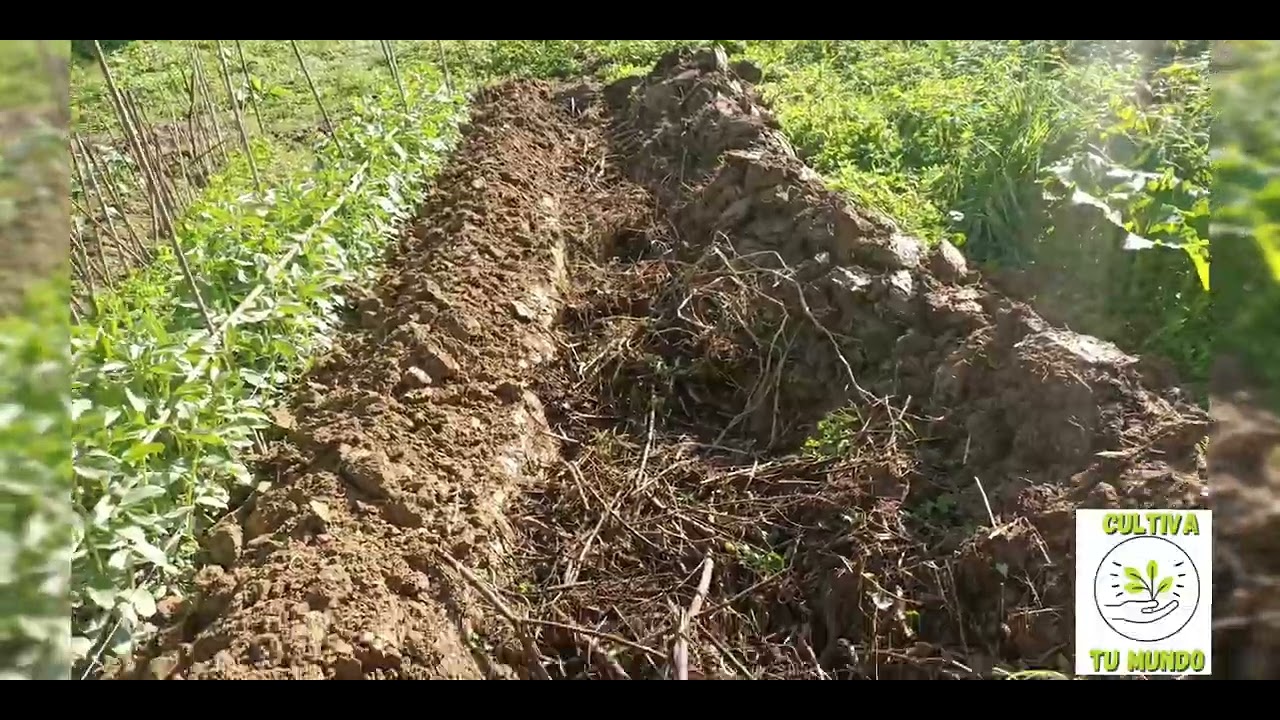 Bancal auto compostable!#ecológico #bancal#regenerativo