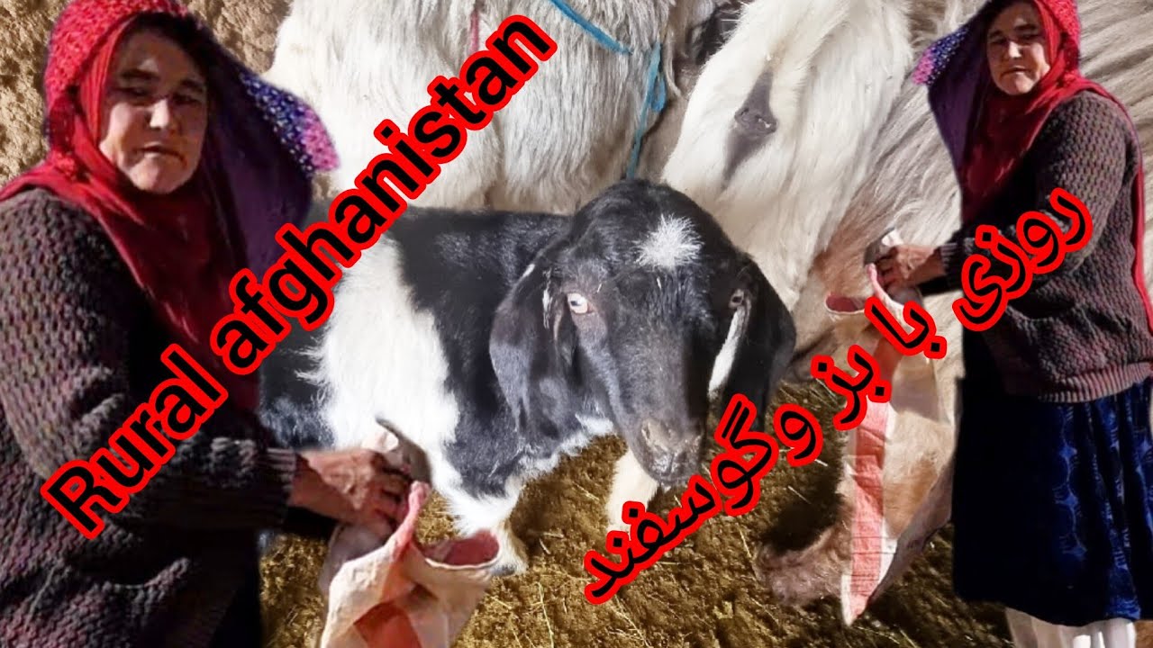 زندگی ساده روستایی افغانستان 🐐🐓/ Afghan village Life #جاغوری #viral videos  