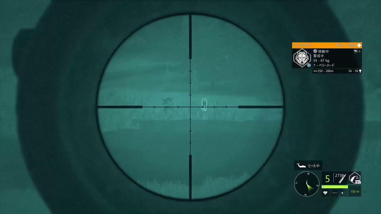 ハイイロオオカミのG1狙いながらのんびり狩り！【theHunter call of the Wild 】