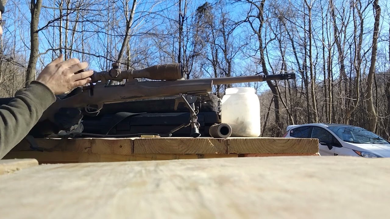 So you want a suppressed .223 bolty? This is my suggestion....