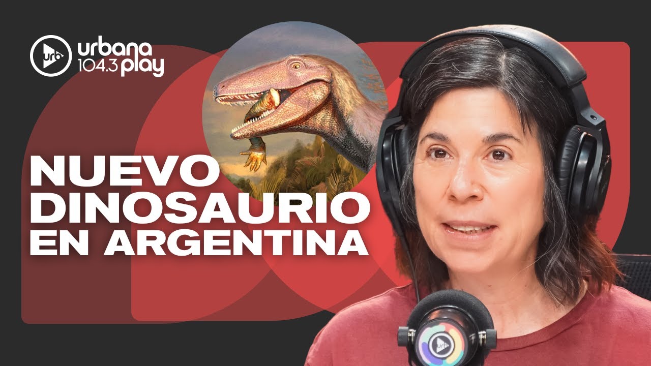 Hallan gran dinosaurio en la Patagonia: vivió hace 70 millones de años y tenía un hueso de cocodrilo