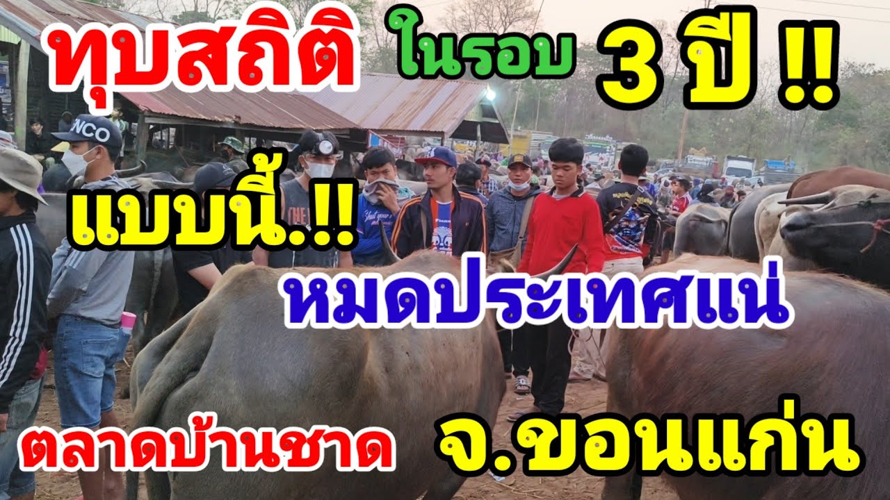 24 มีนาคม 2568 ตลาดบ้านชาด จ.ขอนแก่น