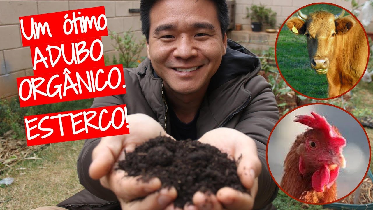 Estercos como adubo orgânico.