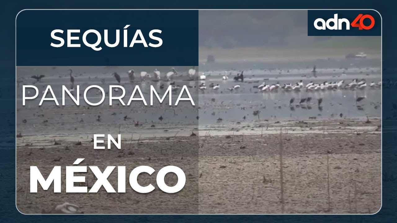 El panorama de las sequ&iacute;as en M&eacute;xico