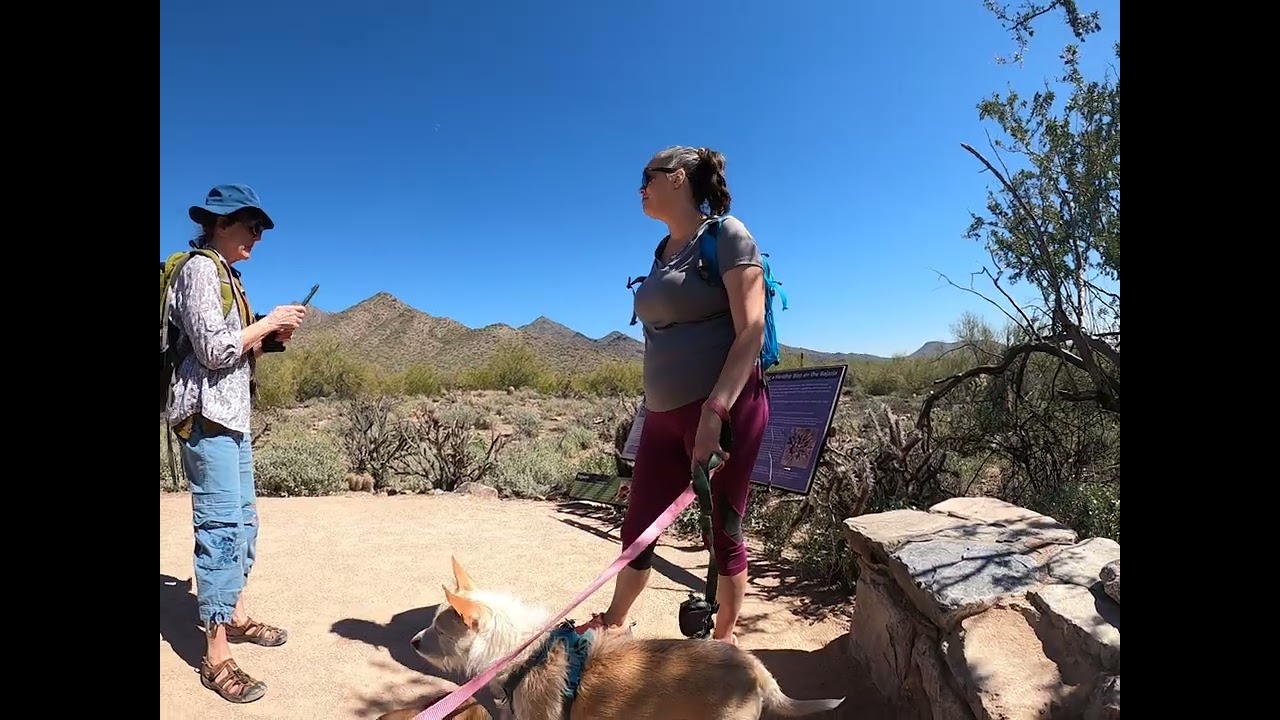 warp speed at McDowell Mountain preserve, mostly the Bejada Nature Trail 2022 3 9