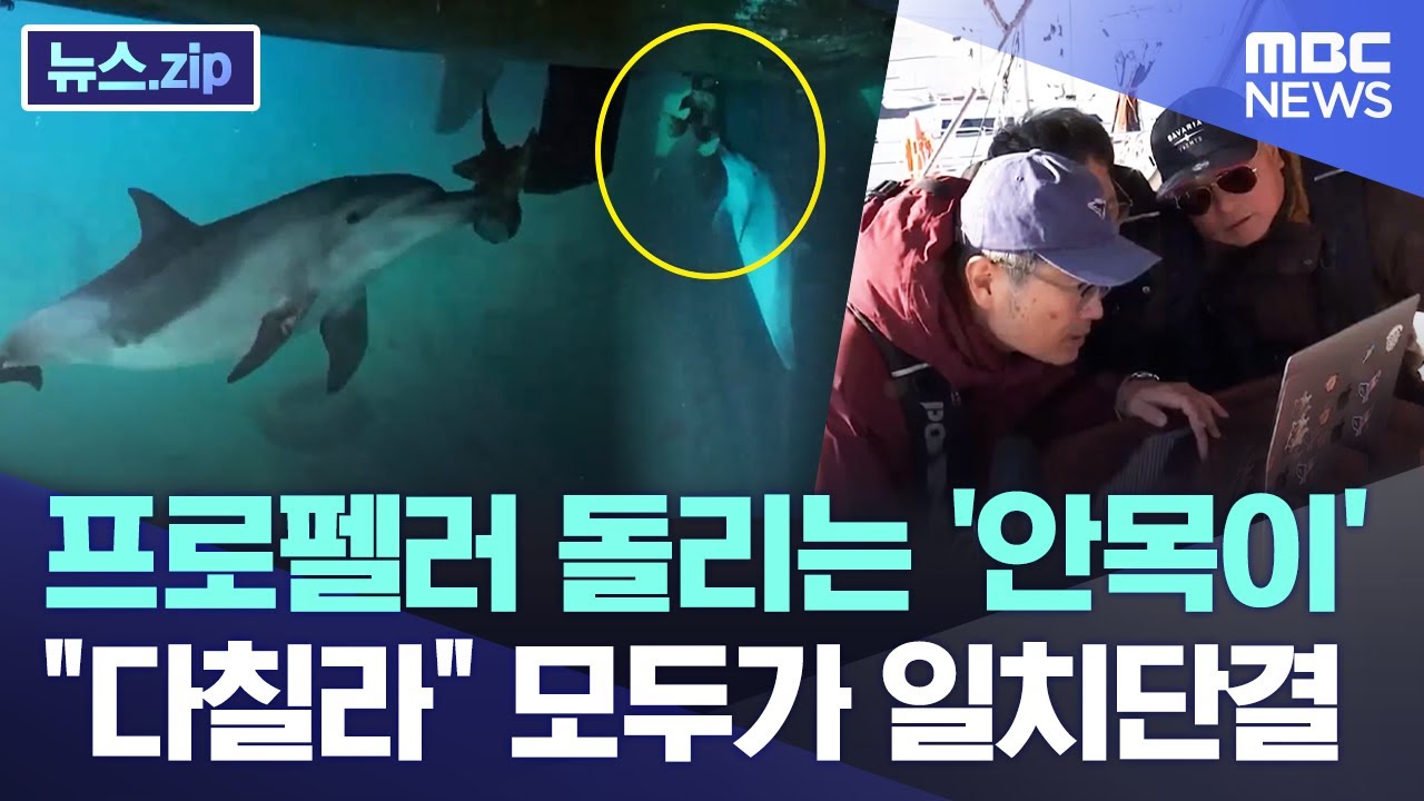 프로펠러 돌리는 '안목이'.. 