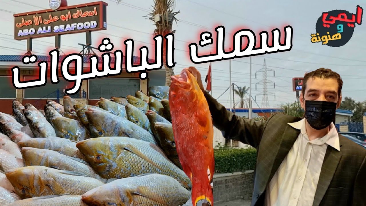 أسرار نجاح أسماك ابو علي الاصلي 🐟 العين السخنة || ABO ALI SEAFOOD