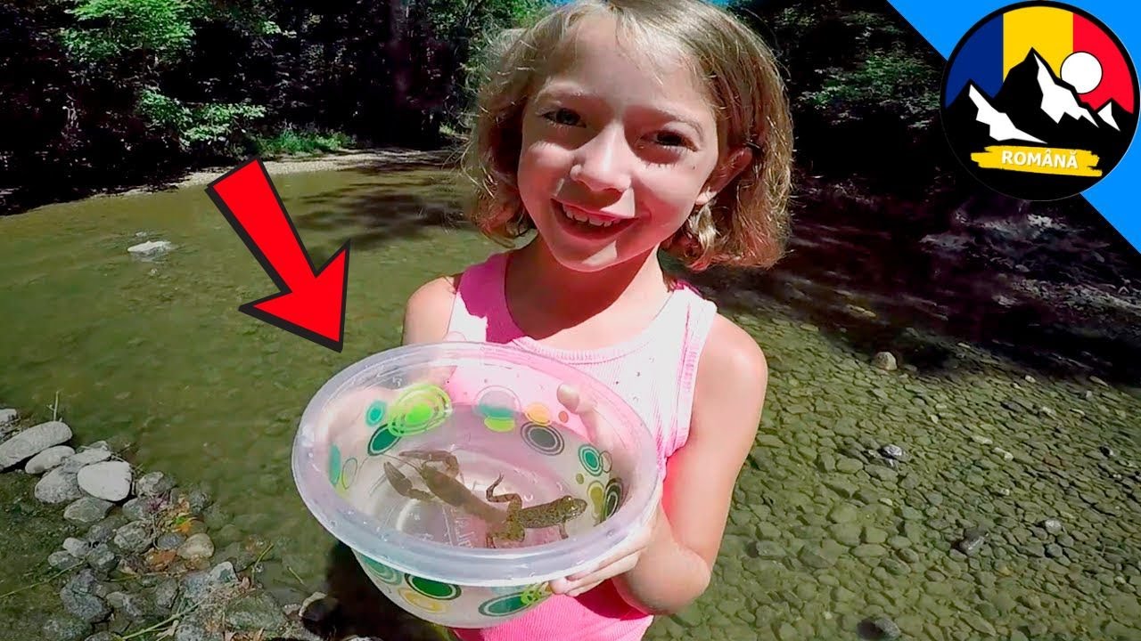 Găsim creaturi misterioase din pârâu 🌊 Și găsim un leu uriaș! Natură sălbatică și periculoasă.