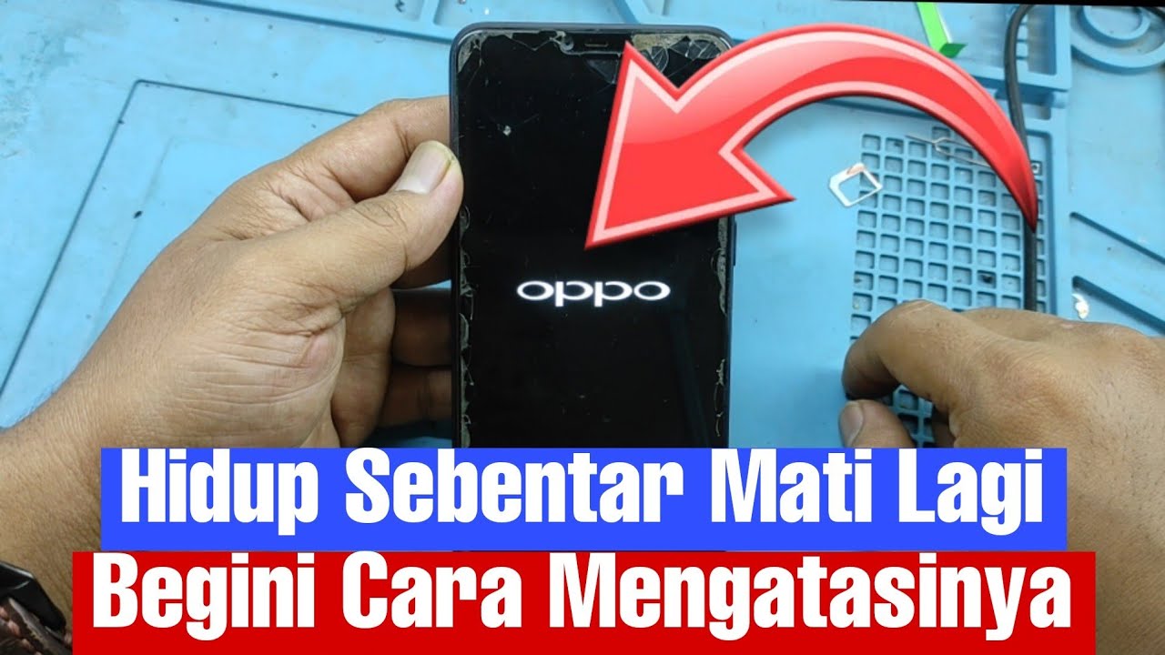 Cara Mengatasi HP OPPO Hidup Sebentar Mati Lagi