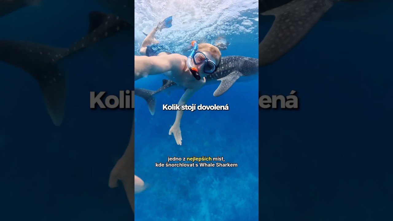Ostrov žraloka velryb&iacute;ho na Malediv&aacute;ch, moje dovolen&aacute; ve Vilu Residence, levn&eacute; Maledivy s v&yacute;lety