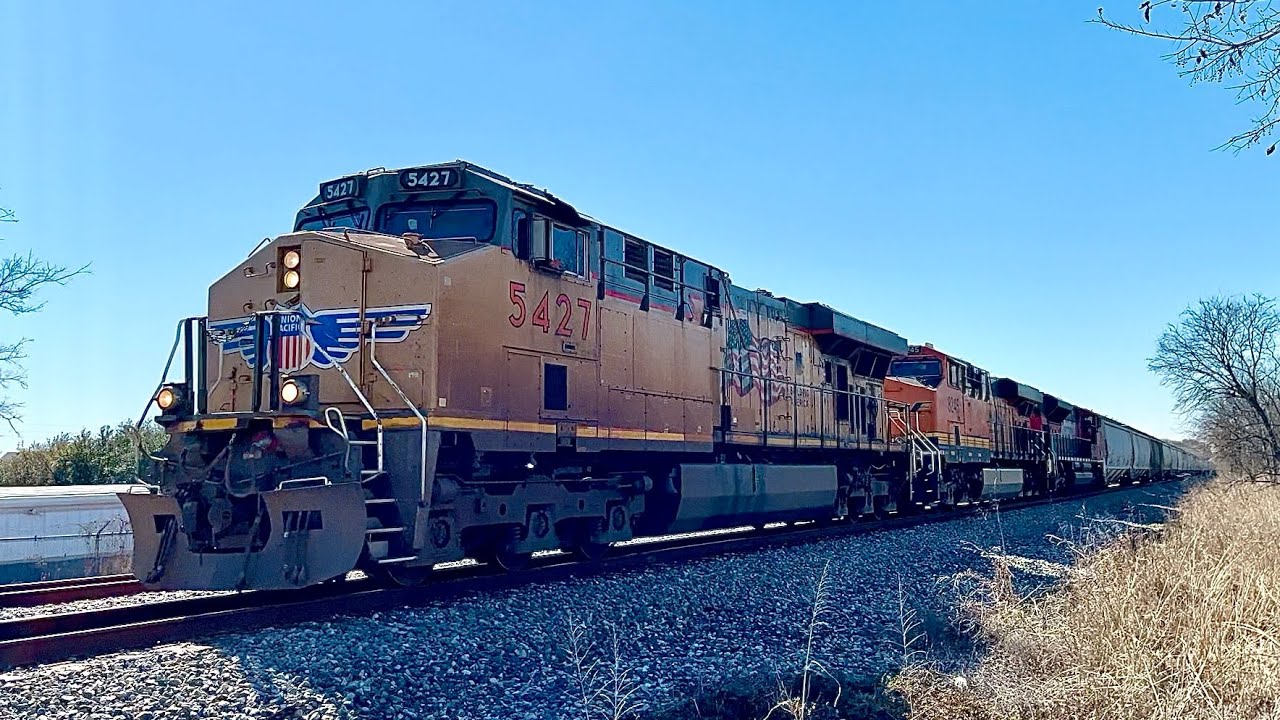 LONGEST GRAIN TRAIN OF ALL TIME 3x3x2 - UP 5427 Leads Monster Grain Train In South Austin, Texas