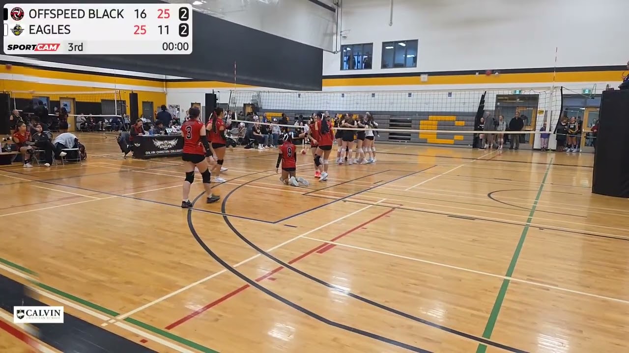 Set 3 HIGHLIGHTS