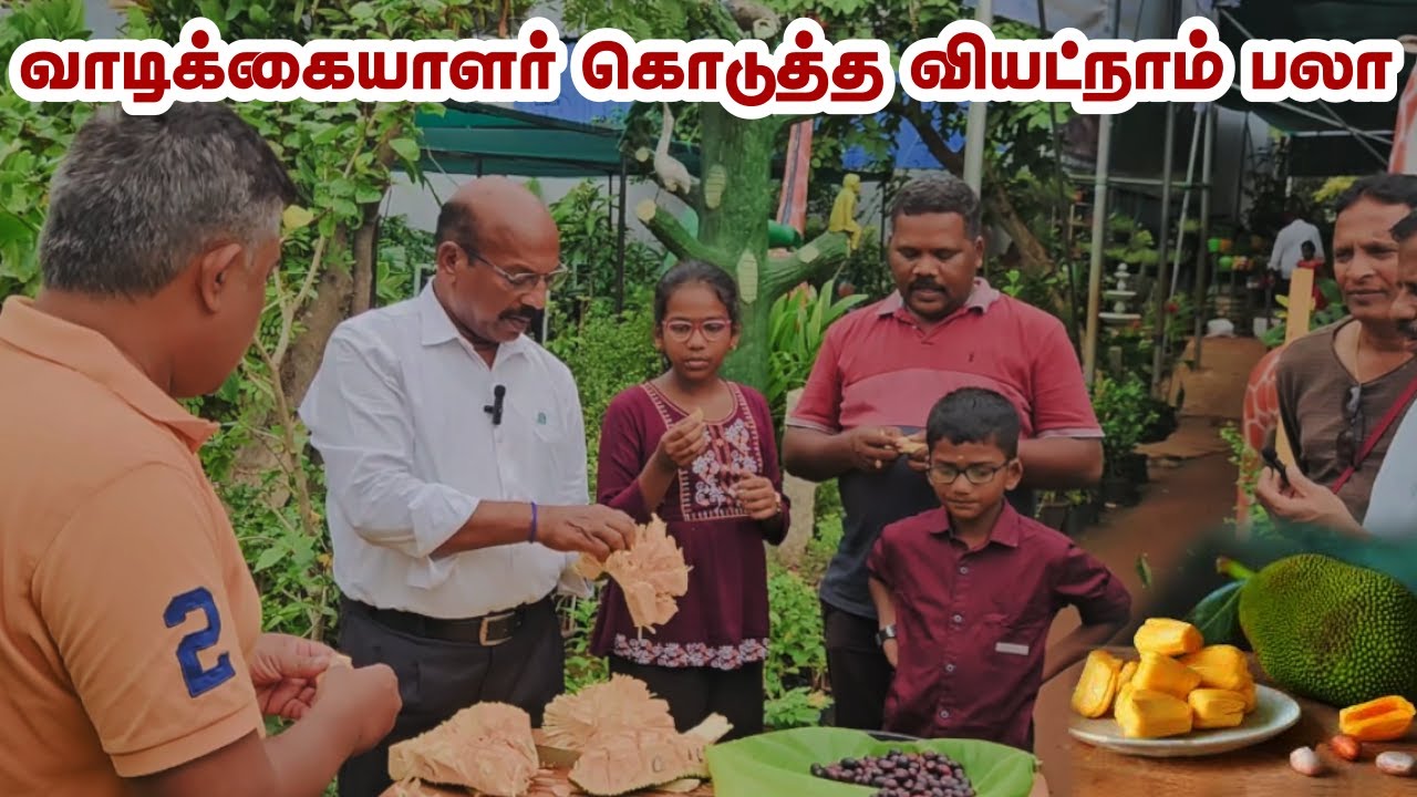 3 வருடம் கழித்து வியட்நாம் பலா பரிசு 🎁 | Customer’s Love & Sweet Tasting at Greenland Nursery 🌴🍈