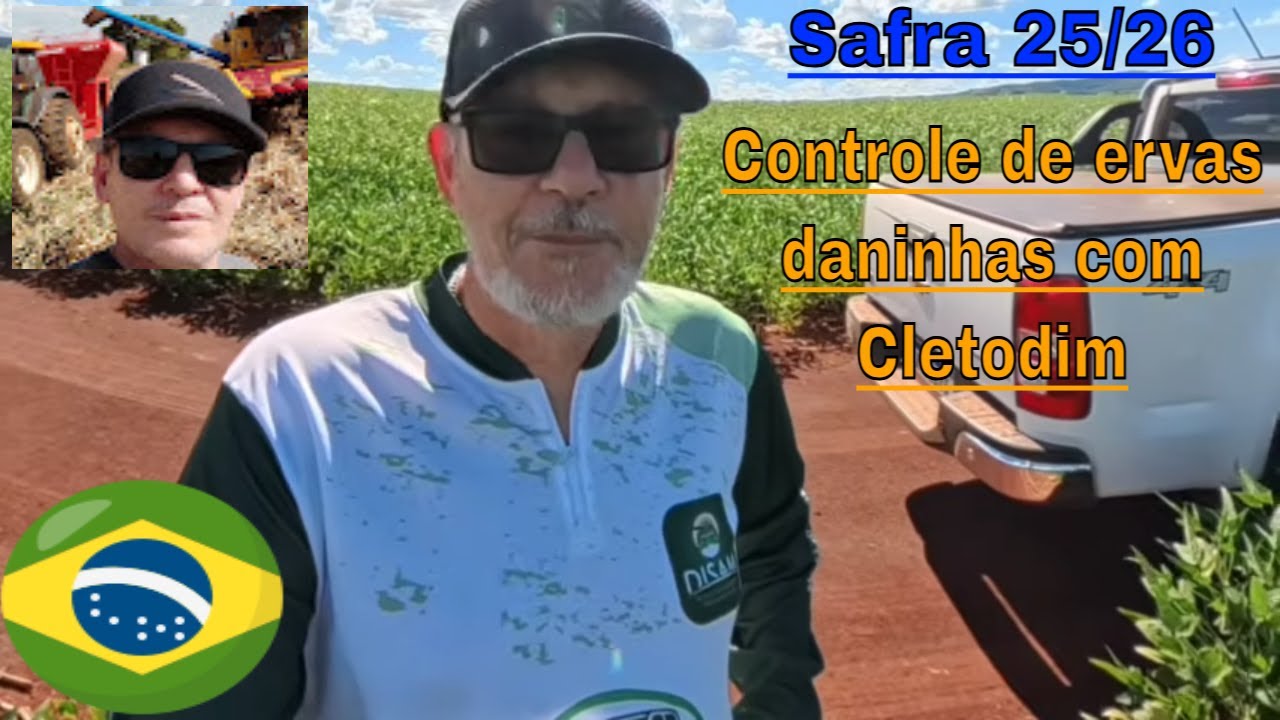 Como ficou a lavoura depois da aplicação de Cletodim e a segunda de fungicida na Soja safra 25/26