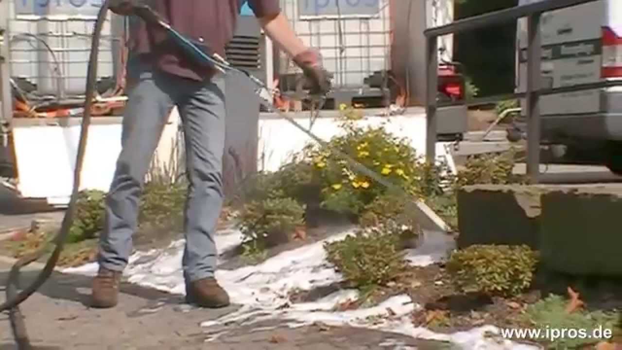 Unkrautbeseitigung bzw. Unkrautentfernung ohne Pestizide oder andere giftige Stoffe