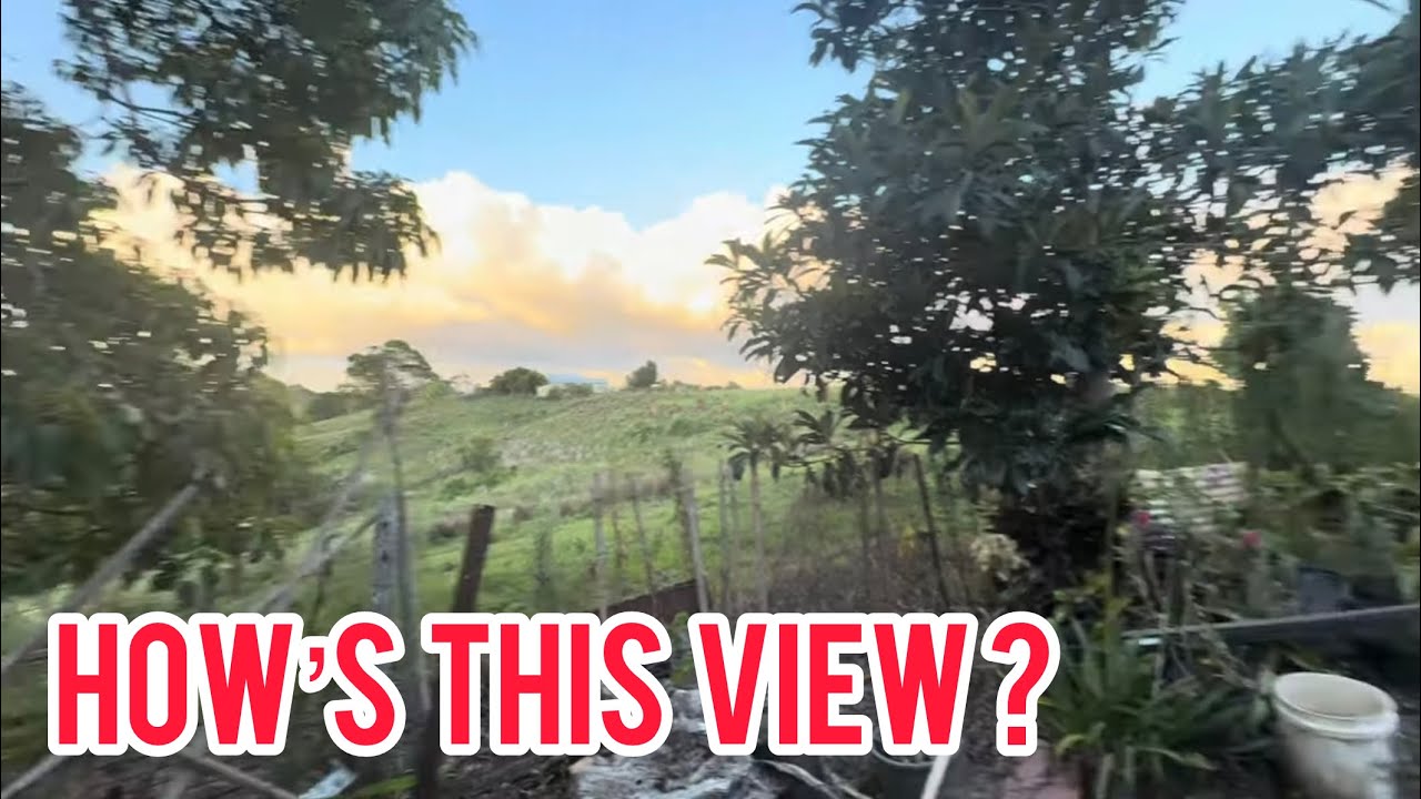From our Tiny home at mums. A break from our van is on the cards… 