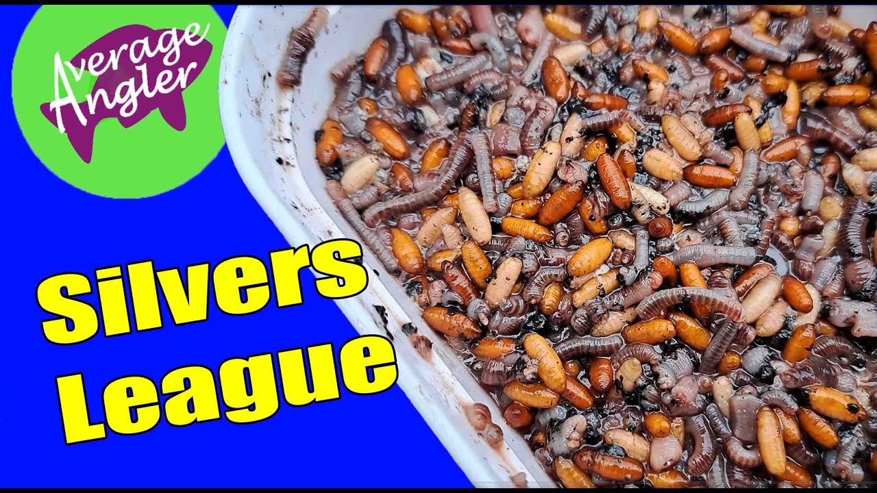 Live Match Fishing 2022* Silver fish League* Round 1* Shiplate  Farm Fishery